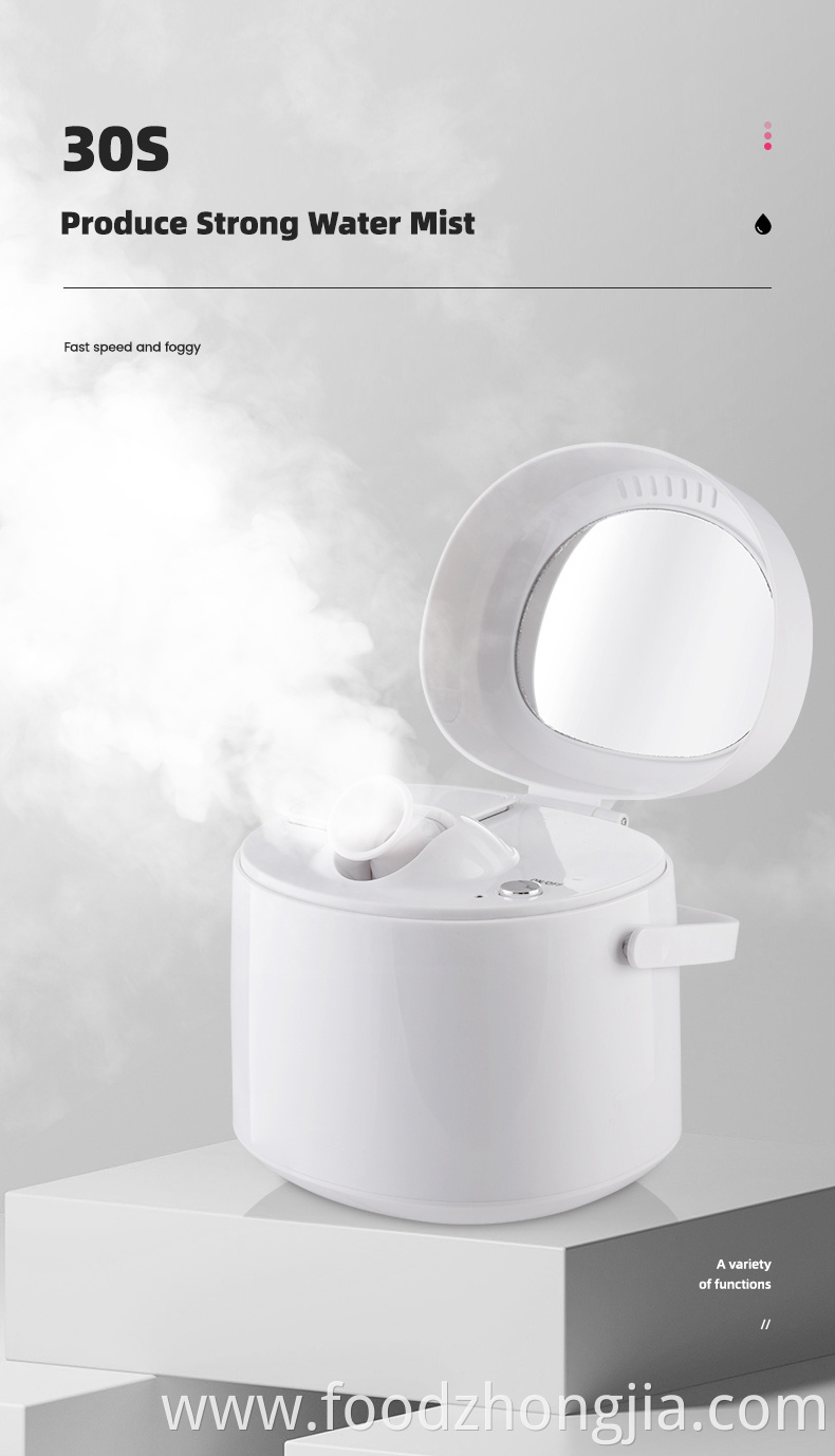 Hot Mist Facial Home Spa Hot Ionic Mist Sprayer Ionic Spray nano portable Facial Steamer